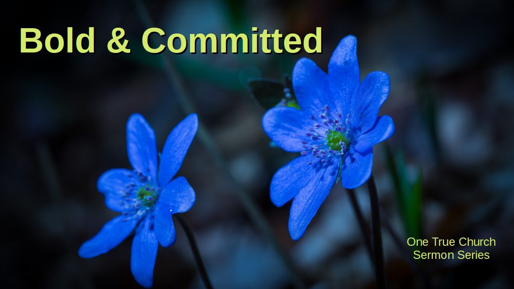 6 Bold and Committed