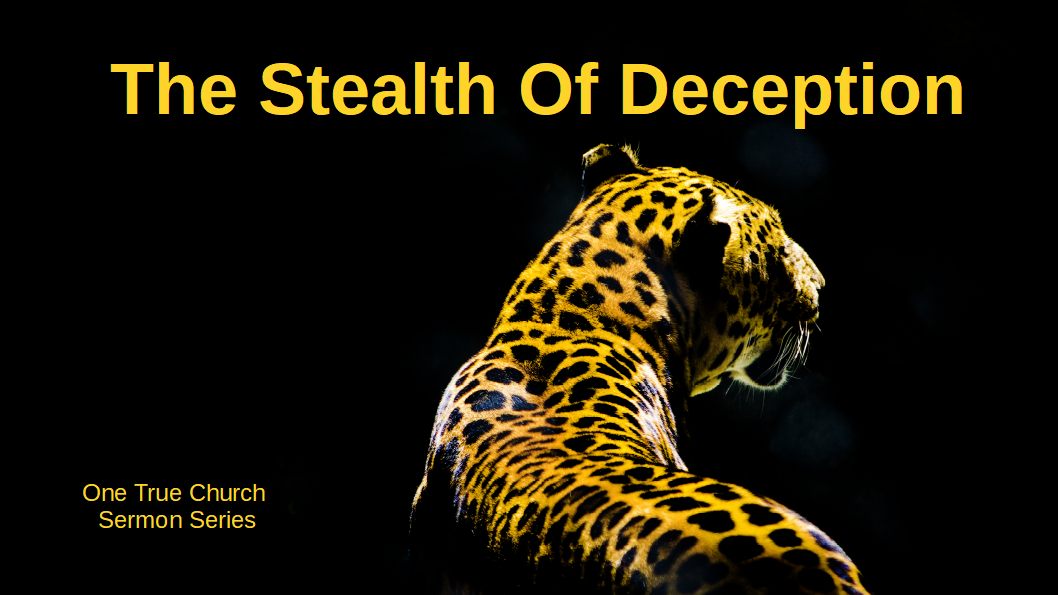 7 The Stealth Of Deception